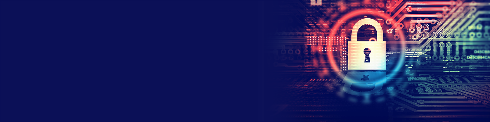 Cyber Liability