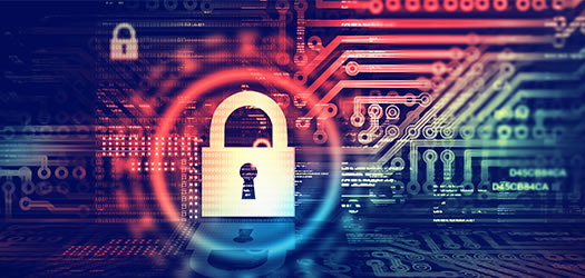 Cyber Liability