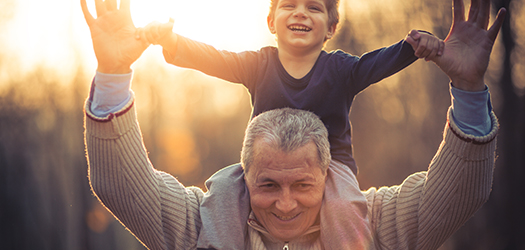 Senior Group Term Life Insurance